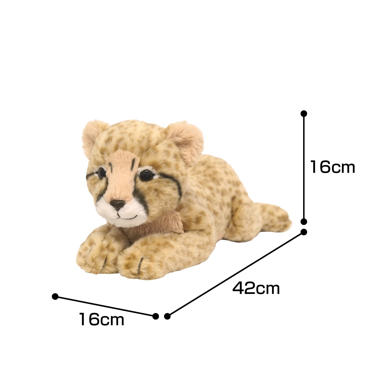 Amazon.co.jp: サンレモン ひざちーたー あかちゃん 16×42×16cm